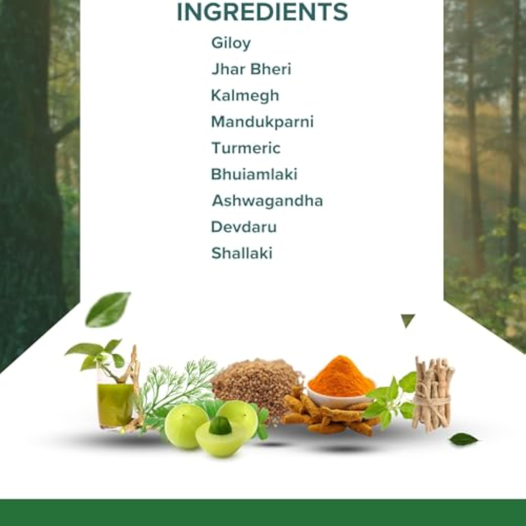 Immune Booster Capsules - Ayurvedic Herbal Support